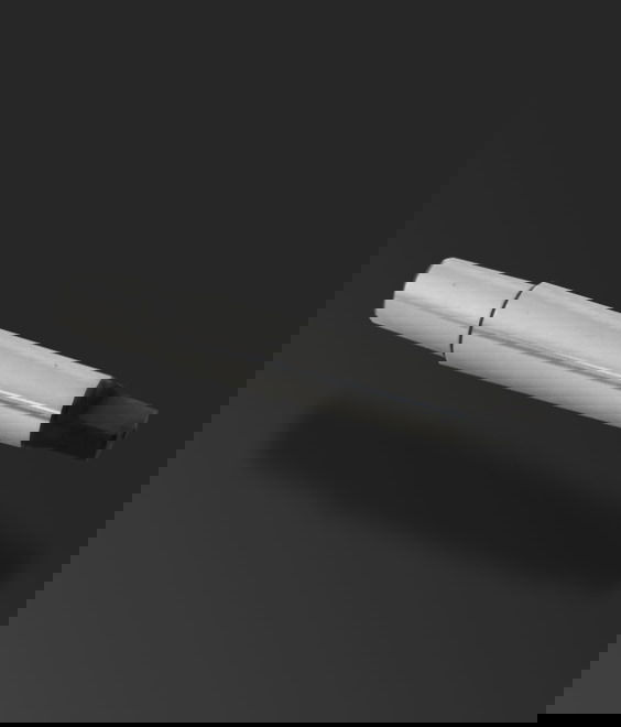 Abbildung von Kegeldorn mit Austreiberlappen