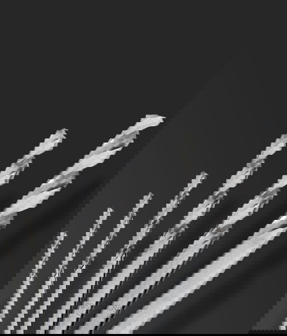 Abbildung von HSSG Kernlochbohrer M3-M12